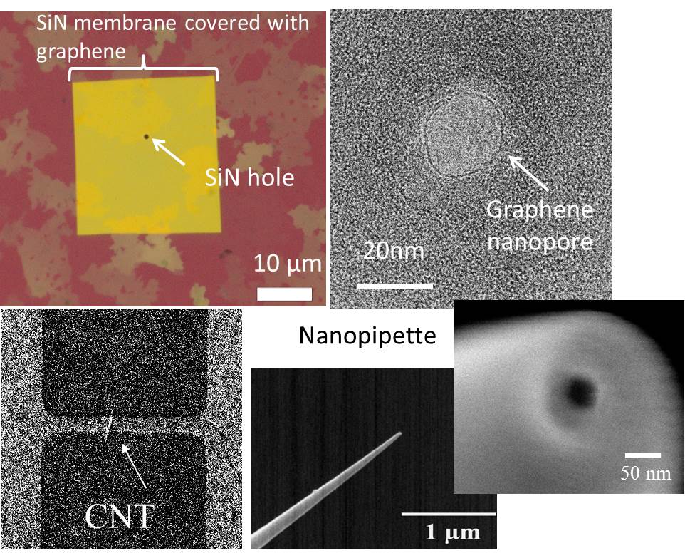Nanopore devices